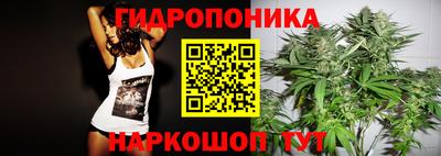 spice Будённовск