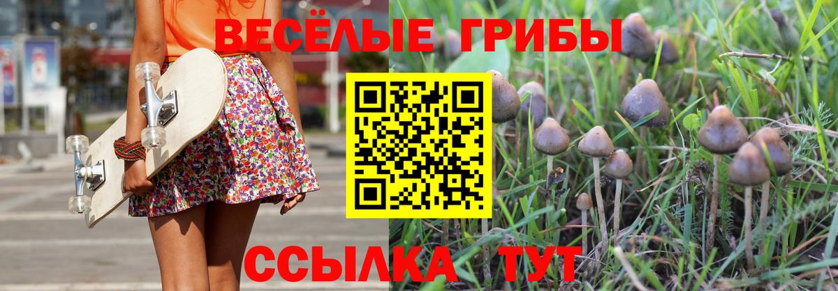 Галлюциногенные грибы ЛСД Волоколамск